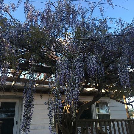 Wisteria Vine Cottage モンティセロ エクステリア 写真